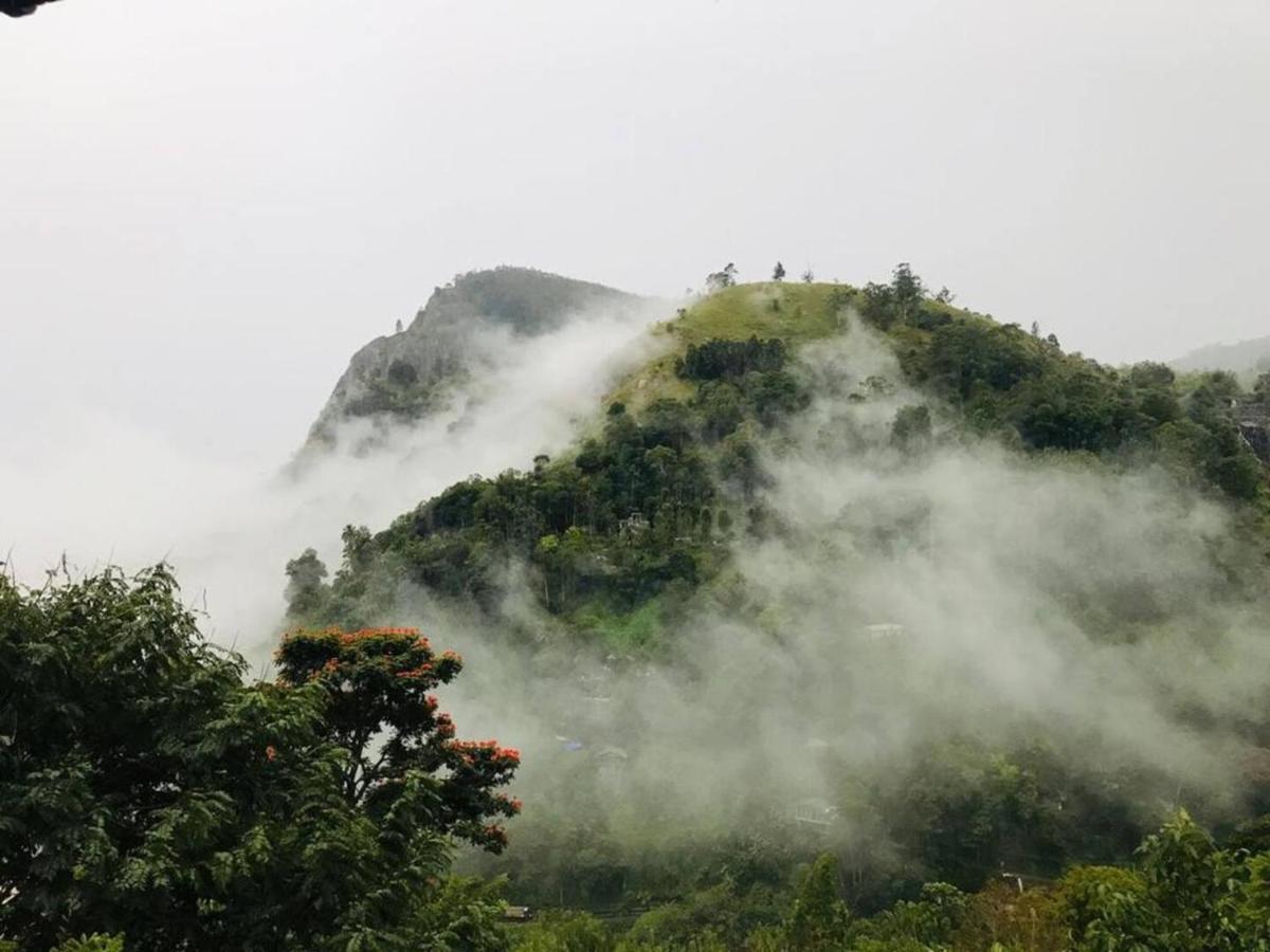 Hilltop Wood Lodge Ella Bagian luar foto